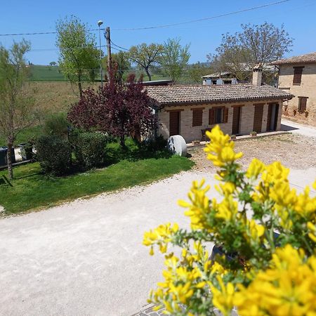 Agriturismo Il Borghetto Монтефалько Экстерьер фото