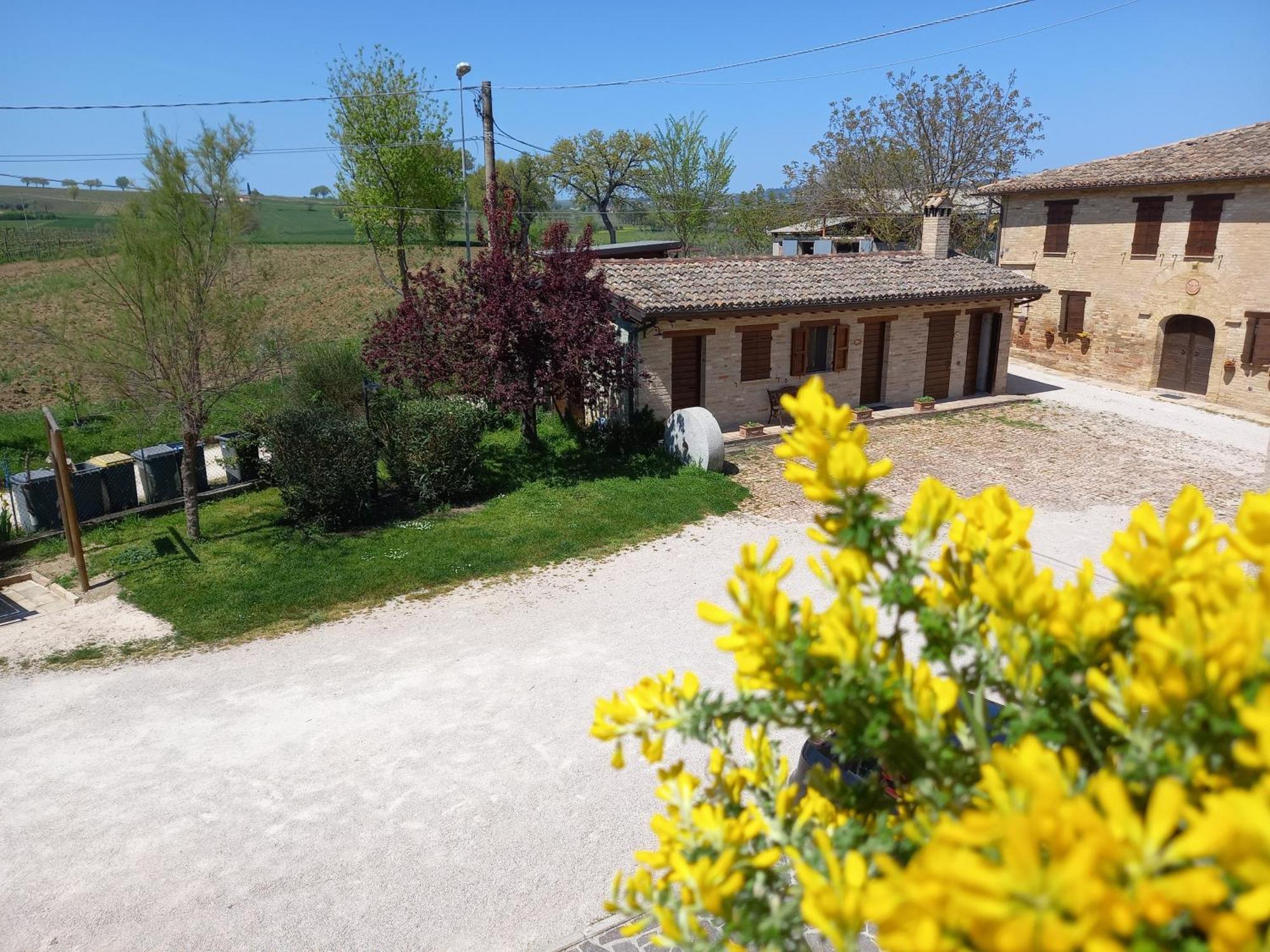 Agriturismo Il Borghetto Монтефалько Экстерьер фото